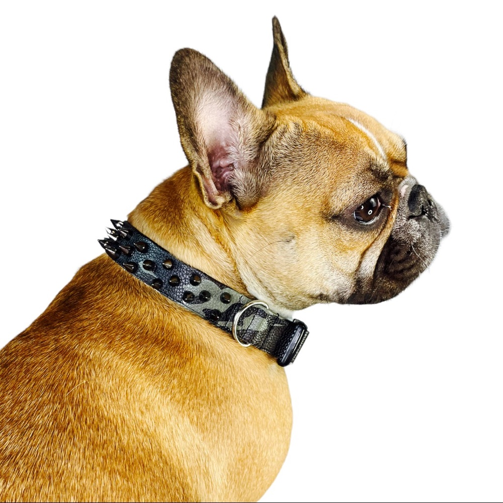 Gimme Back My Bullets collar